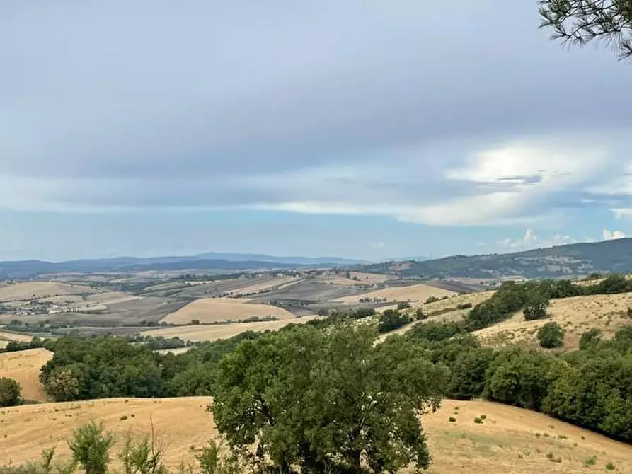Immagine 4 di Terreno agricolo in vendita  a Semproniano