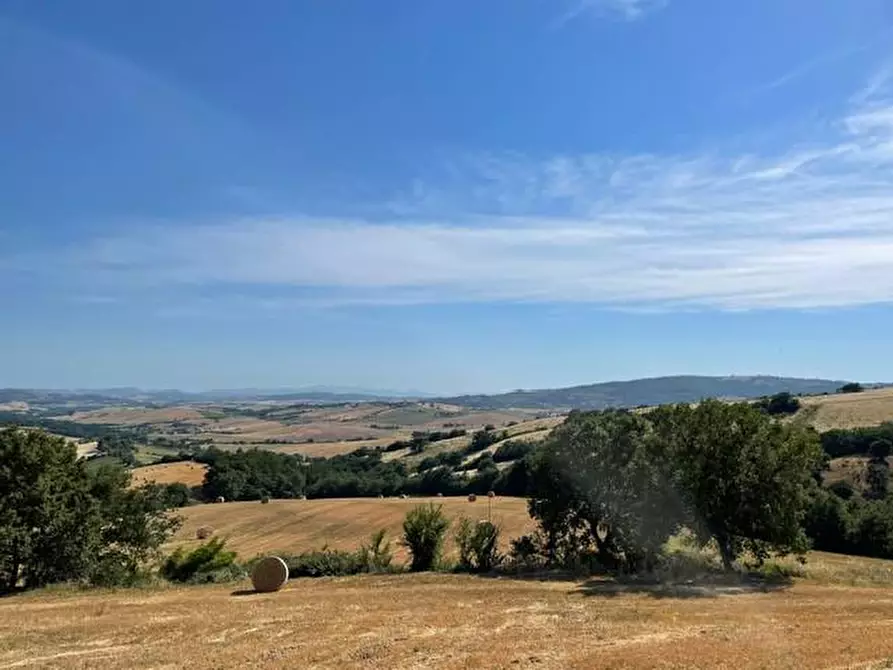 Immagine 7 di Terreno agricolo in vendita  a Semproniano