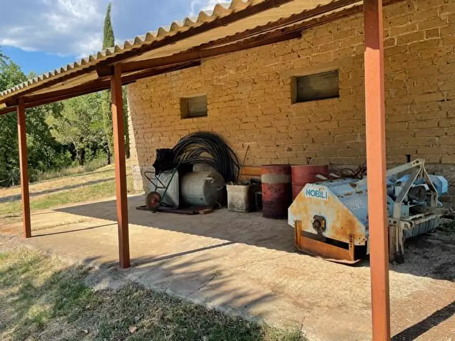 Immagine 6 di Terreno agricolo in vendita  a Semproniano