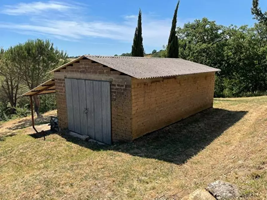 Immagine 5 di Terreno agricolo in vendita  a Semproniano