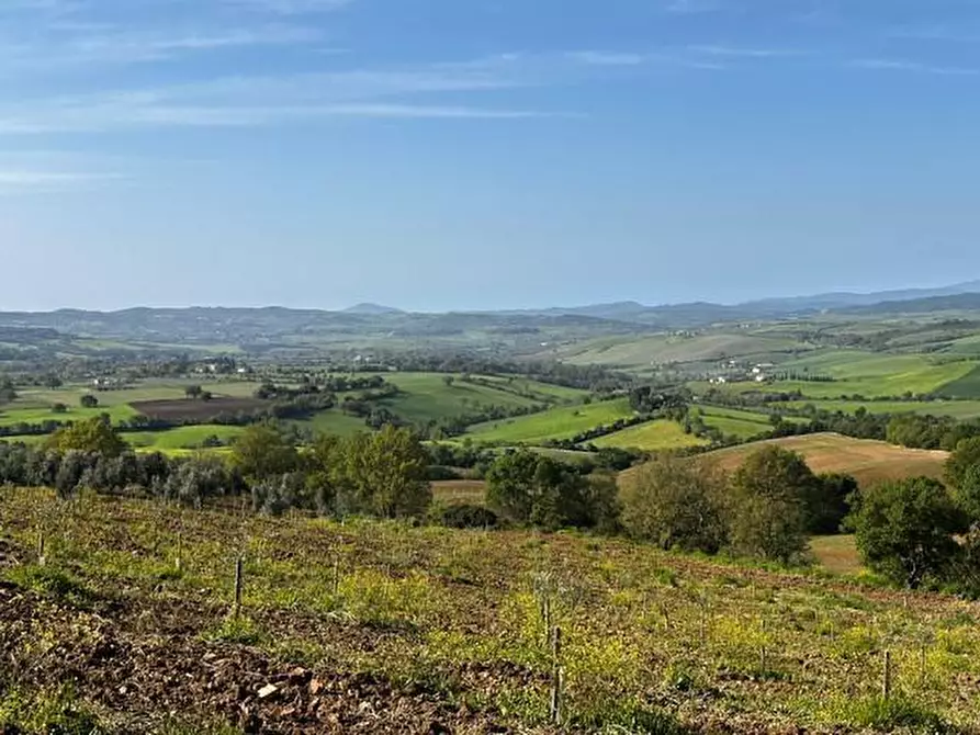 Immagine 13 di Rustico / casale in vendita  a Semproniano