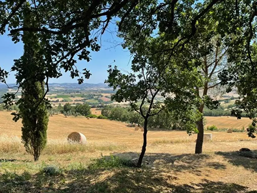 Immagine 6 di Rustico / casale in vendita  a Semproniano