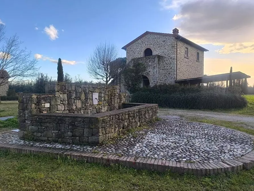 Immagine 5 di Casa colonica in vendita  a Cortona