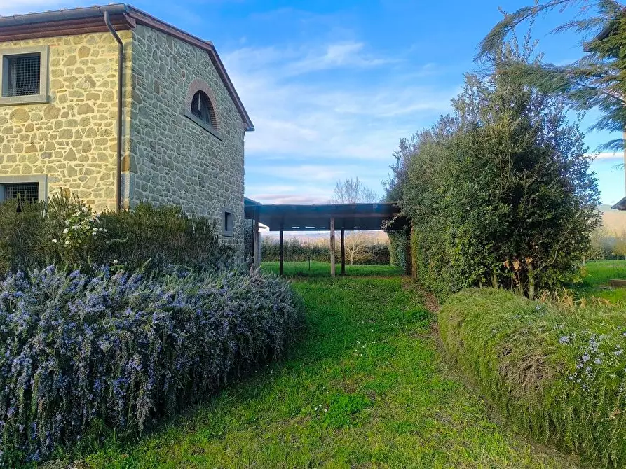Immagine 4 di Casa colonica in vendita  a Cortona