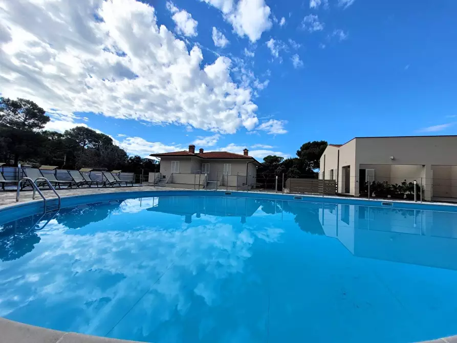 Immagine 2 di Appartamento in vendita  a Rosignano Marittimo