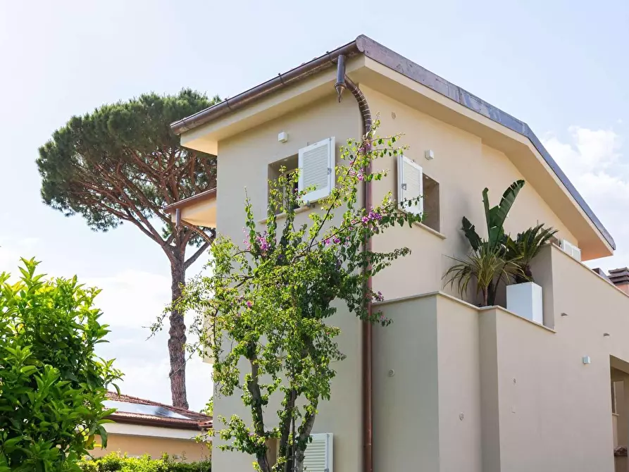Immagine 6 di Villa in vendita  a Forte Dei Marmi