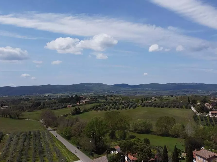 Immagine 24 di Appartamento in vendita  a Siena