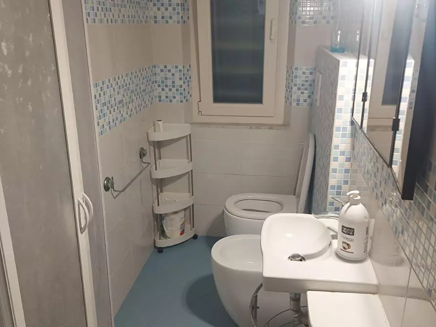 Immagine 13 di Appartamento in affitto  a Rosignano Marittimo