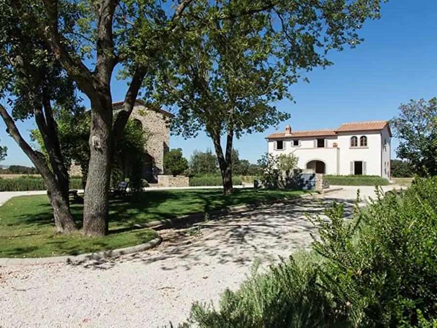 Immagine 3 di Casa colonica in vendita  a Cortona