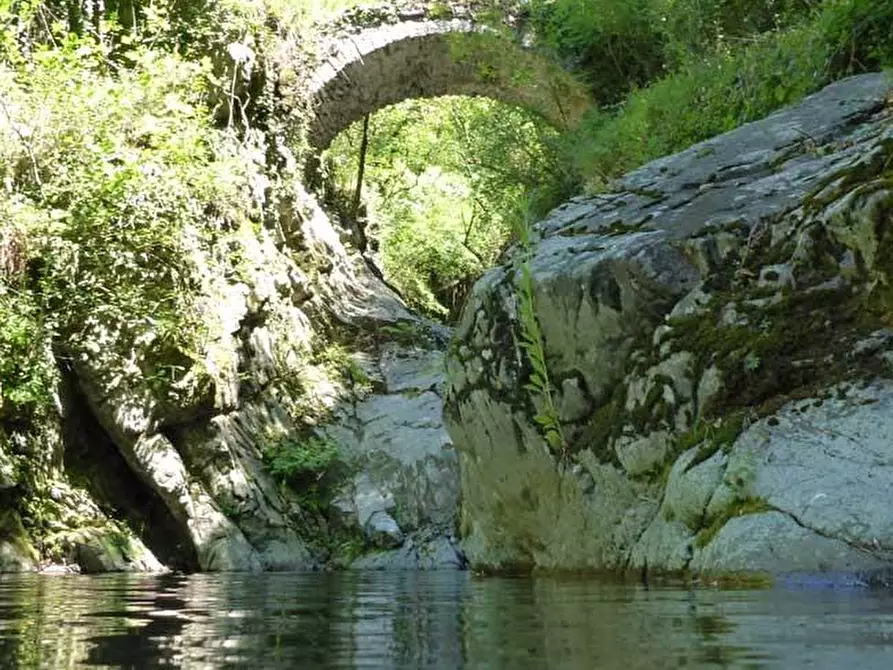 Immagine 2 di Albergo/B&B/Residence in vendita  a Brugnato