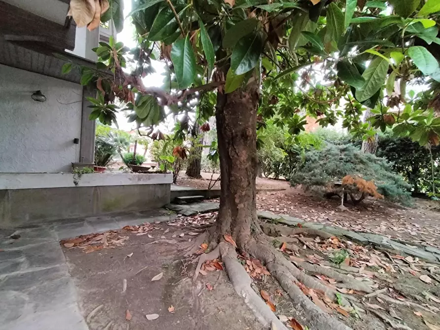 Immagine 11 di Appartamento in vendita  a Massa