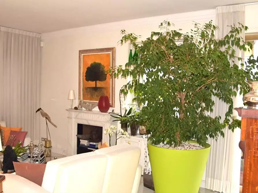 Immagine 4 di Appartamento in vendita  a Massa