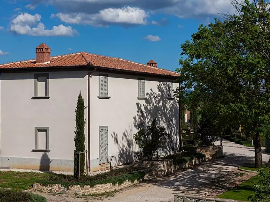 Immagine 4 di Casa colonica in vendita  a Cortona