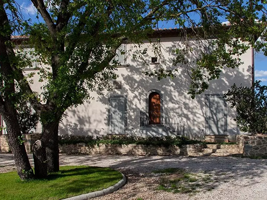 Immagine 2 di Casa colonica in vendita  a Cortona