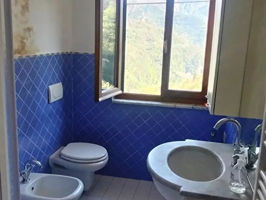 Immagine 16 di Appartamento in vendita  a Massa