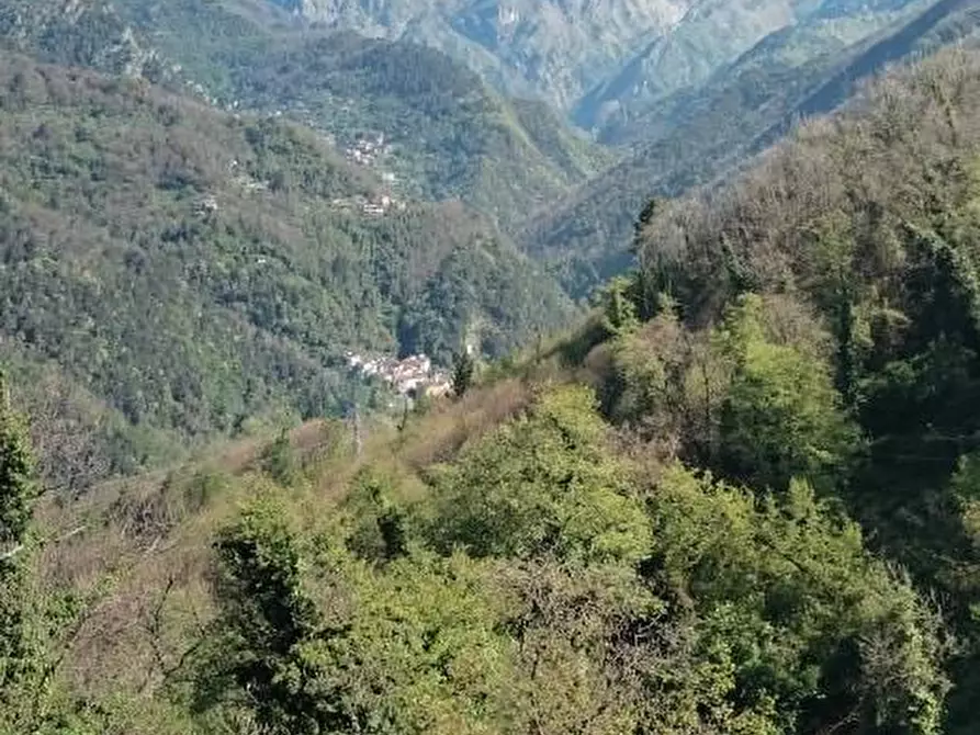 Immagine 5 di Appartamento in vendita  a Massa