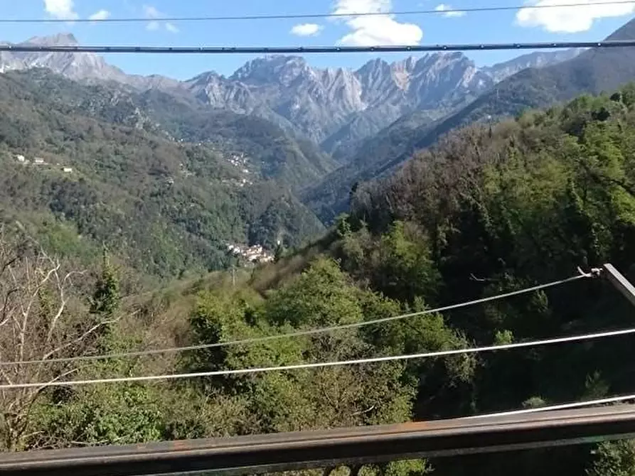 Immagine 3 di Appartamento in vendita  a Massa