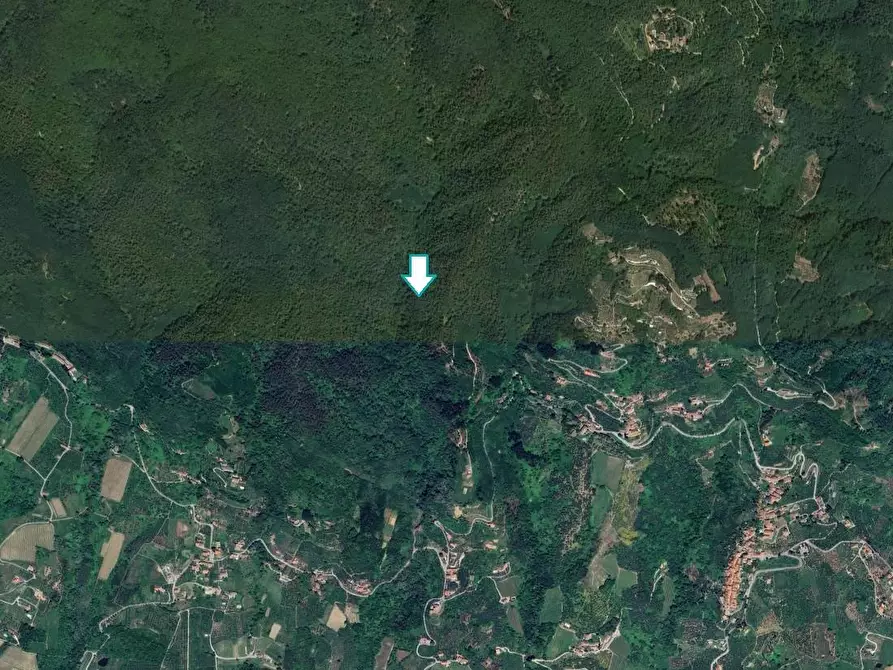 terreno agricolo in vendita a Capannori
