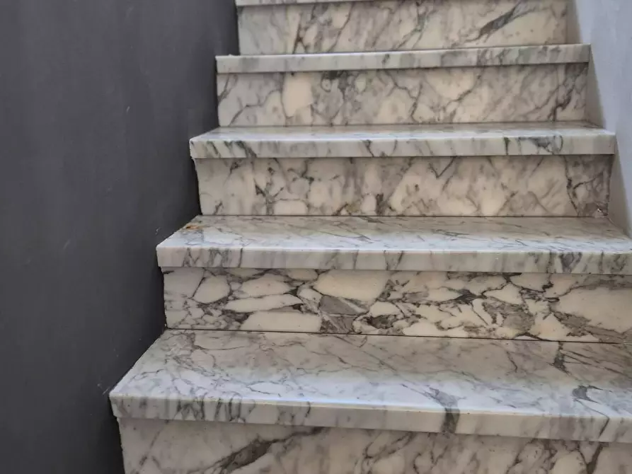 Immagine 25 di Villa in vendita  a Viareggio