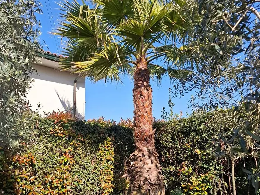 Immagine 49 di Casa indipendente in vendita  a San Miniato