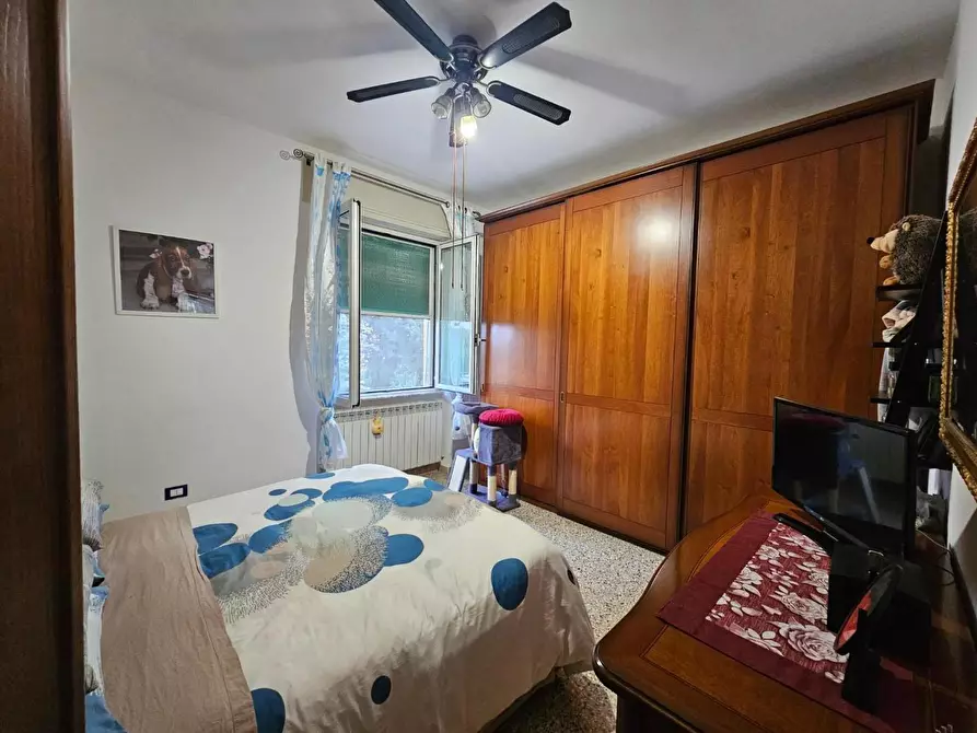 Immagine 15 di Appartamento in vendita  a Collesalvetti