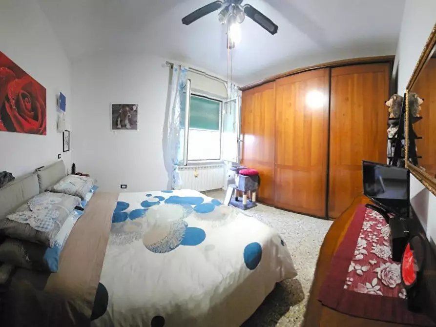 Immagine 16 di Appartamento in vendita  a Collesalvetti