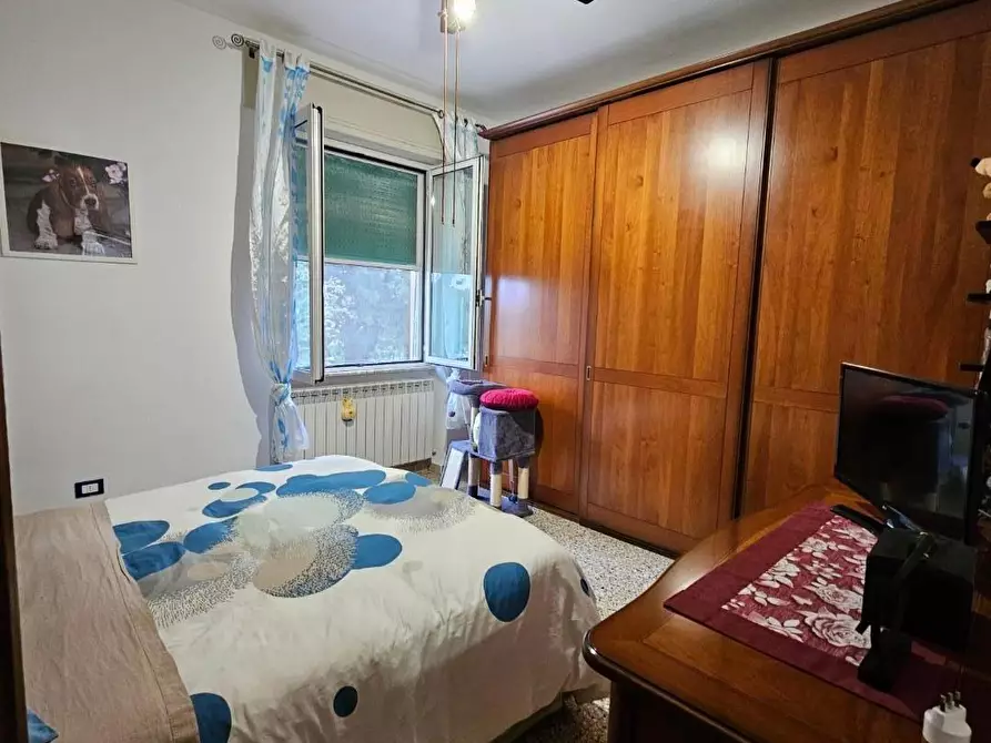 Immagine 14 di Appartamento in vendita  a Collesalvetti