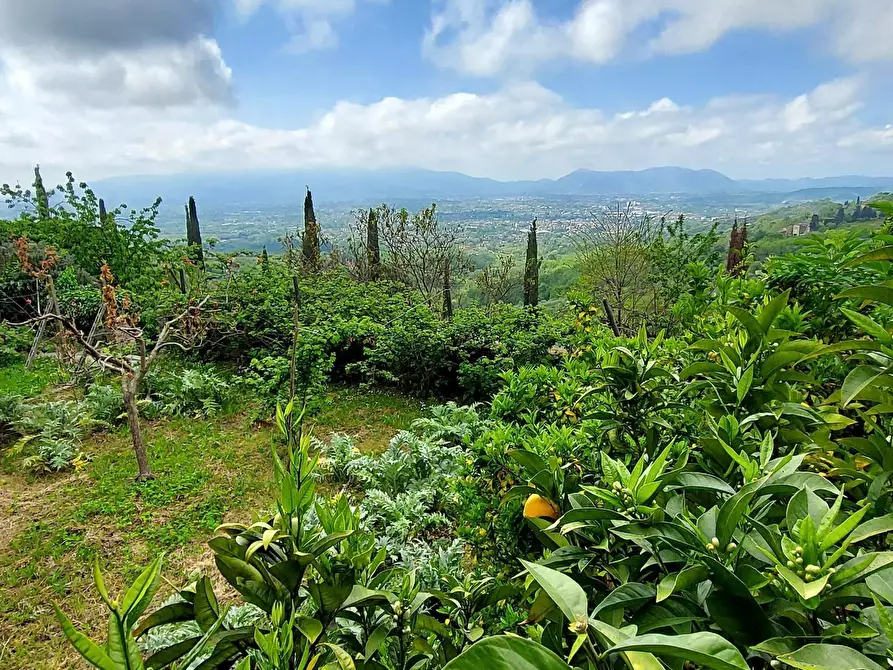 Immagine 23 di Villa in vendita  a Lucca