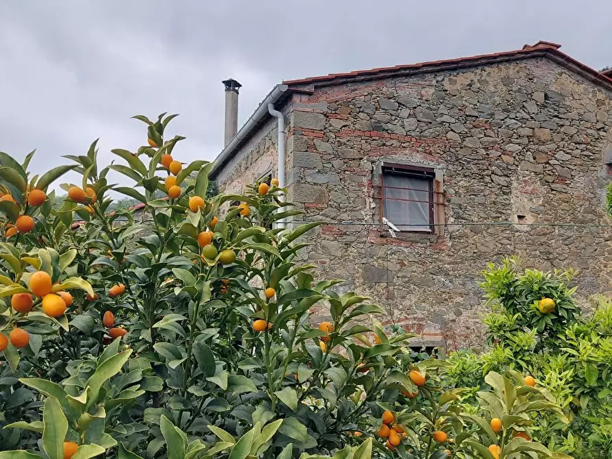 Immagine 21 di Villa in vendita  a Lucca