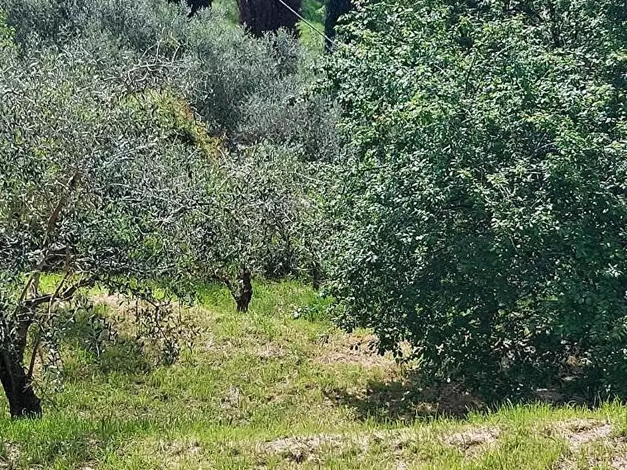 Immagine 5 di Villa in vendita  a Lucca