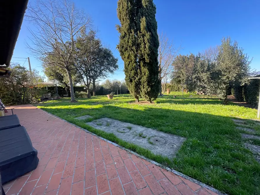 Immagine 4 di Casa colonica in vendita  a Empoli