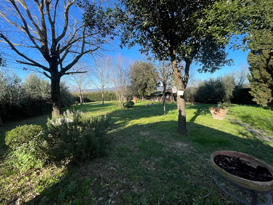 Immagine 5 di Casa colonica in vendita  a Empoli