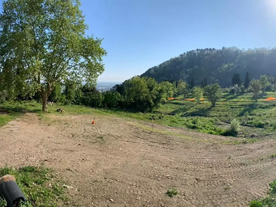 Immagine 17 di Casa colonica in vendita  a Massarosa