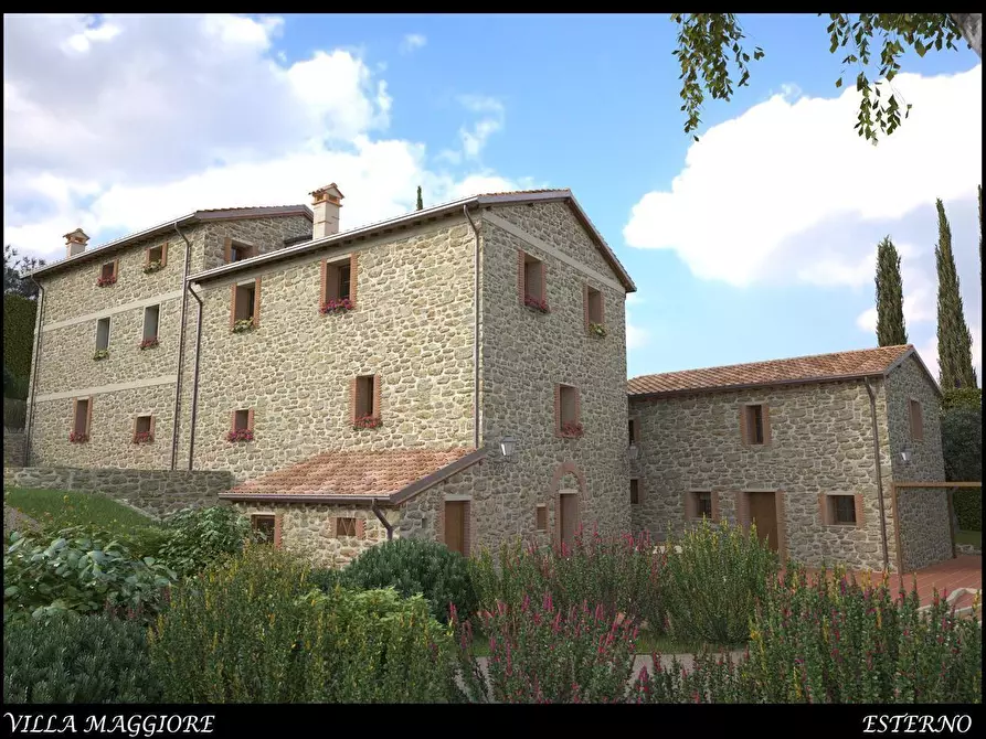 Immagine 16 di Casa colonica in vendita  a Massarosa