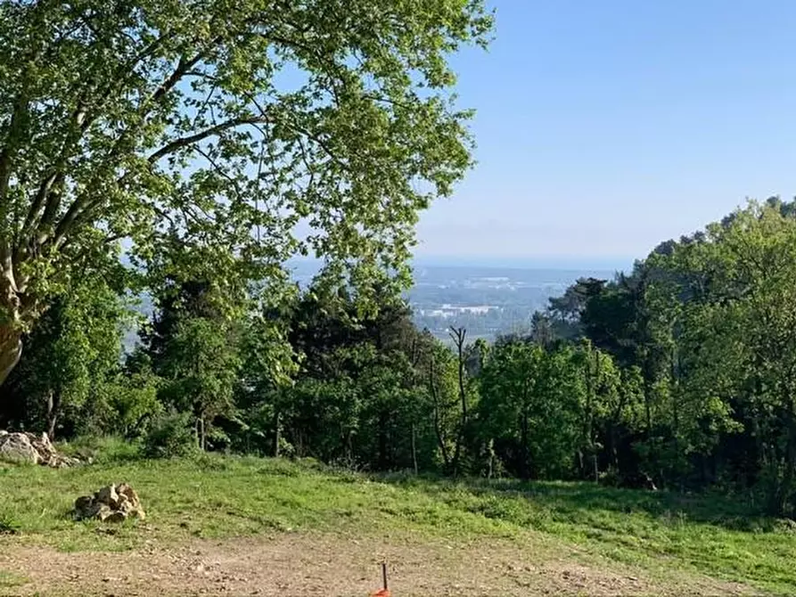 Immagine 2 di Casa colonica in vendita  a Massarosa