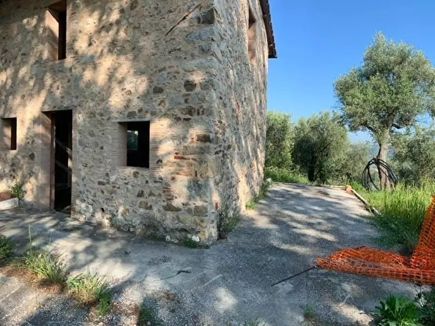Immagine 10 di Casa colonica in vendita  a Massarosa