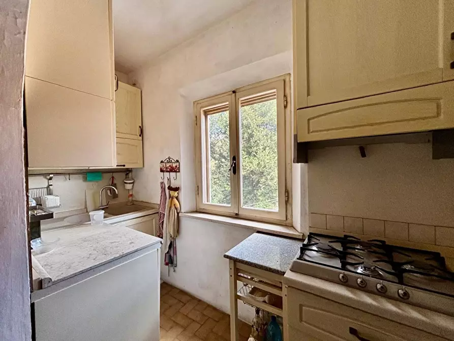 Immagine 4 di Appartamento in vendita  a Palaia