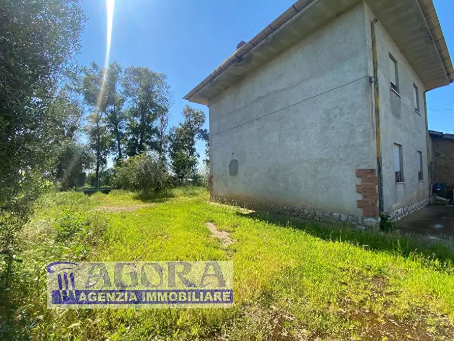 Immagine 4 di Casa colonica in vendita  a Latina
