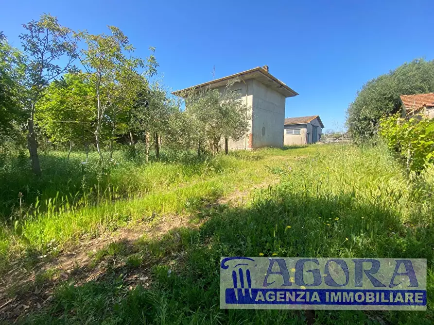 Immagine 23 di Casa colonica in vendita  a Latina