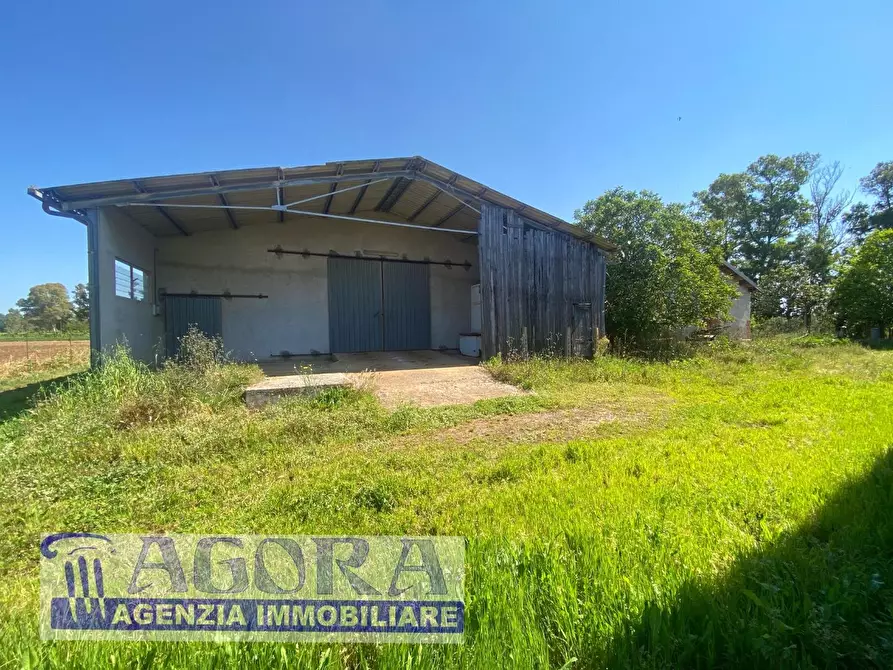 Immagine 16 di Casa colonica in vendita  a Latina