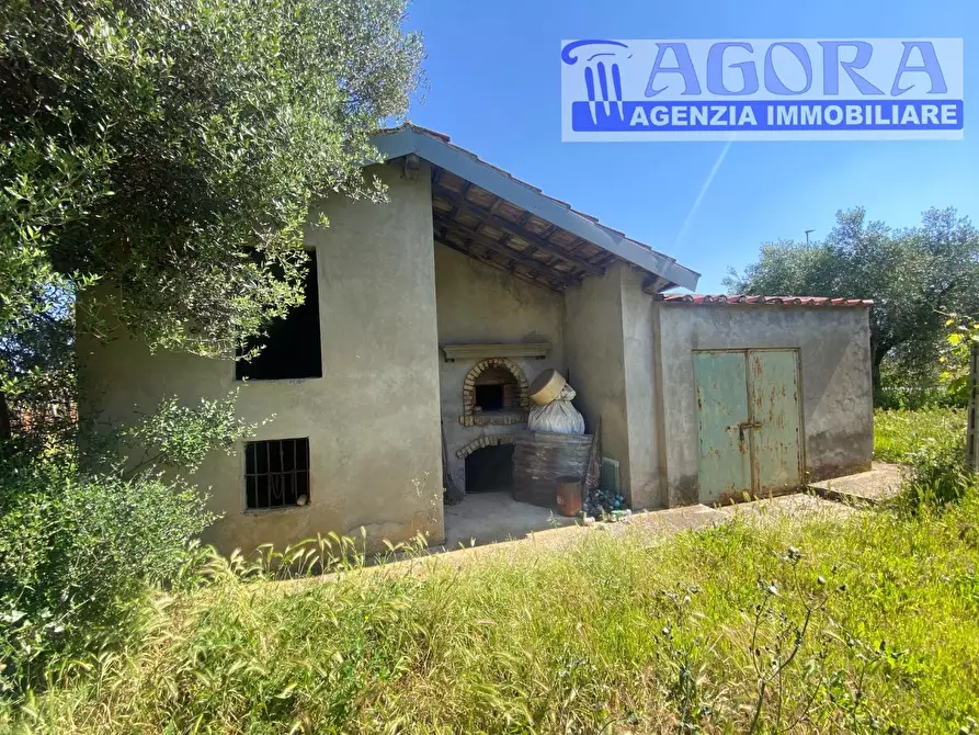 Immagine 7 di Casa colonica in vendita  a Latina