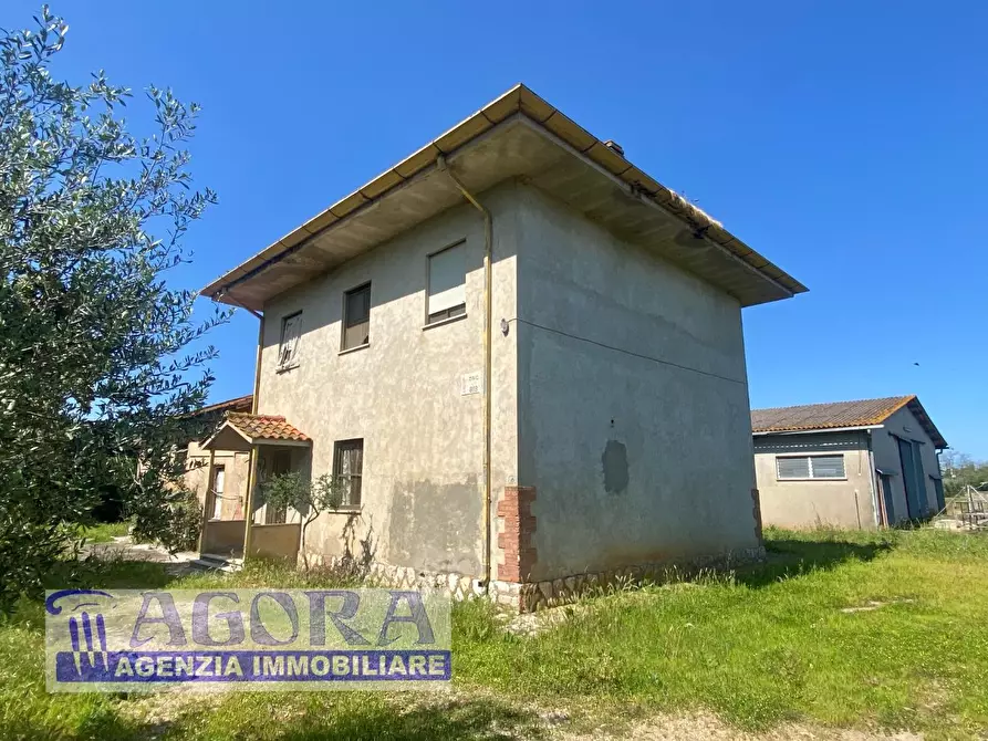 Immagine 2 di Casa colonica in vendita  a Latina