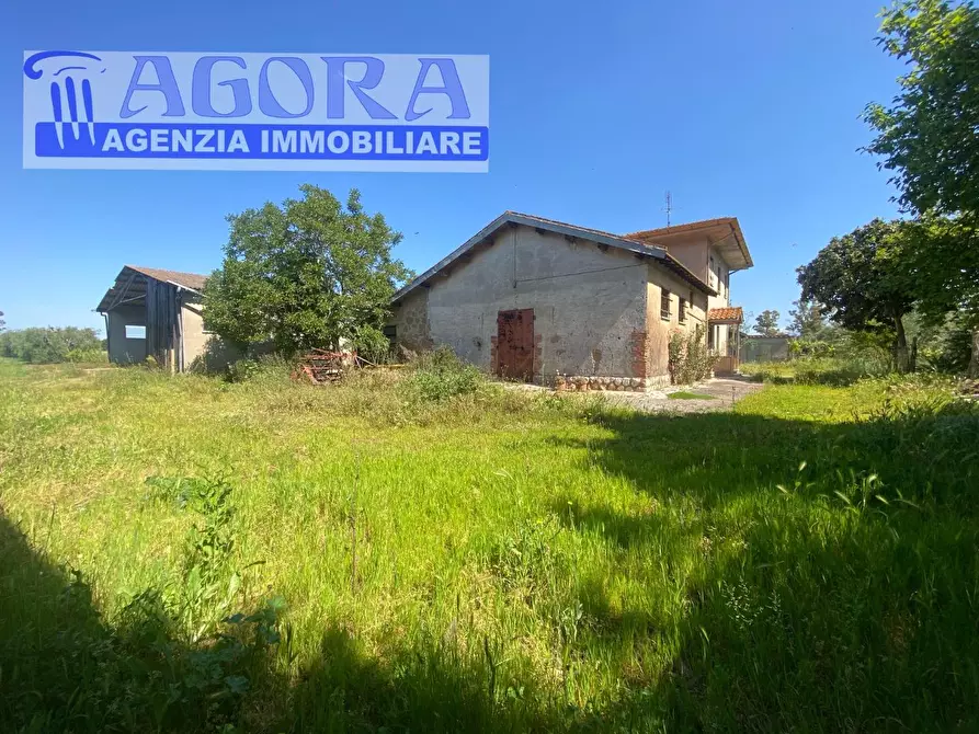 Immagine 12 di Casa colonica in vendita  a Latina