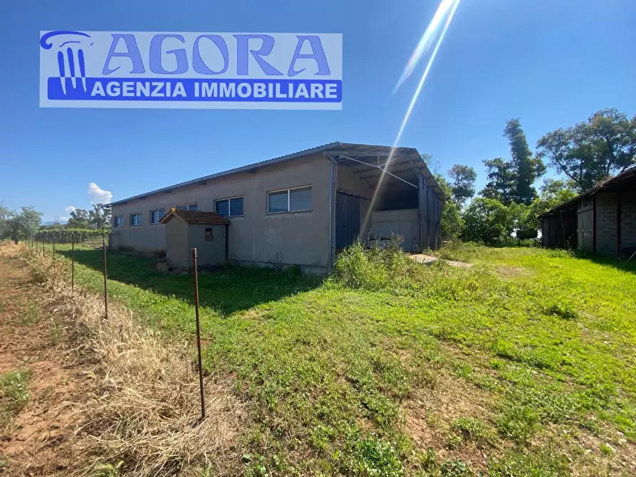 Immagine 17 di Casa colonica in vendita  a Latina