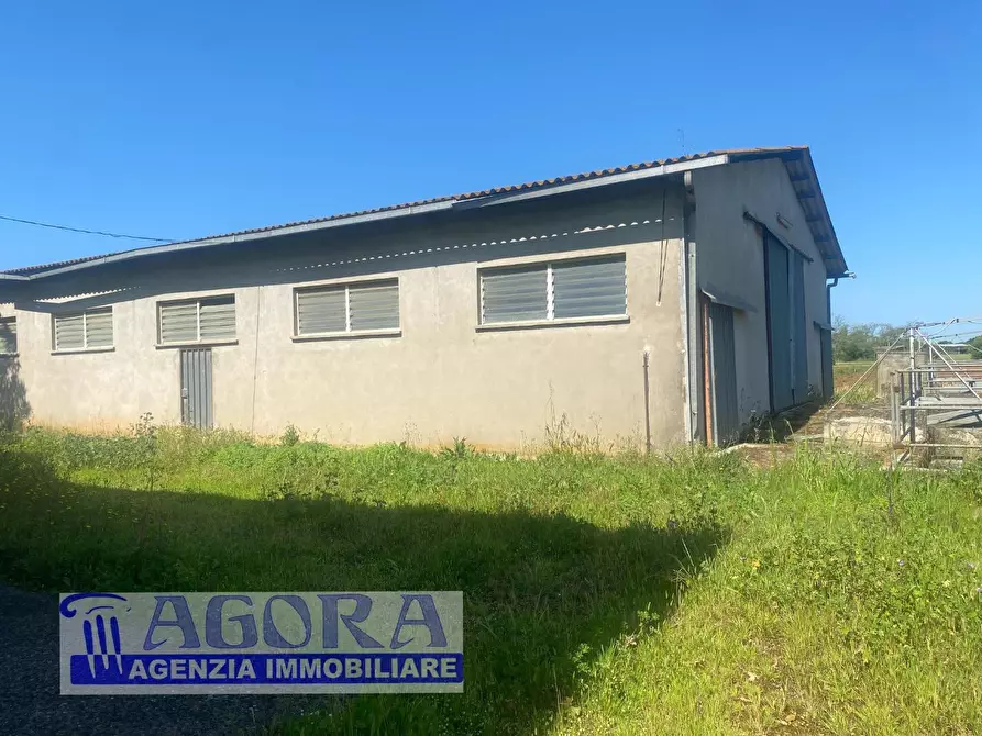 Immagine 8 di Casa colonica in vendita  a Latina