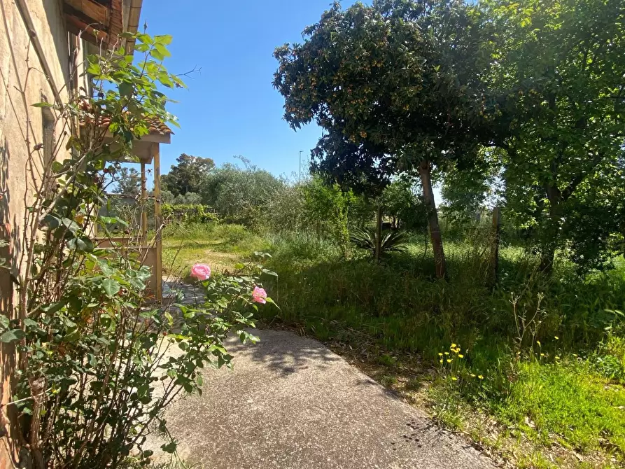 Immagine 10 di Casa colonica in vendita  a Latina