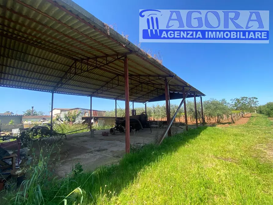 Immagine 15 di Casa colonica in vendita  a Latina