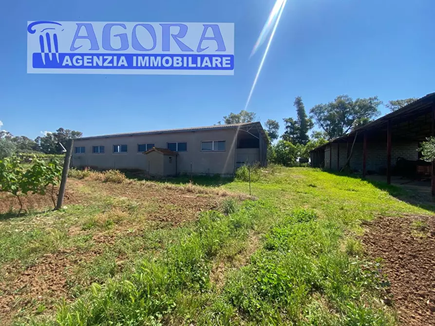 Immagine 18 di Casa colonica in vendita  a Latina