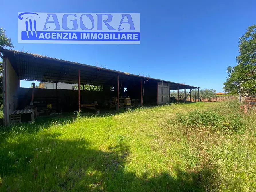 Immagine 14 di Casa colonica in vendita  a Latina