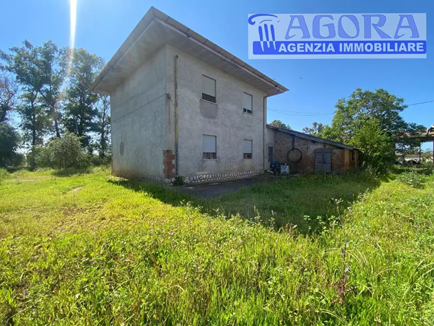 Immagine 6 di Casa colonica in vendita  a Latina